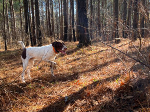 2022-2023 Quail Harvest photo 6