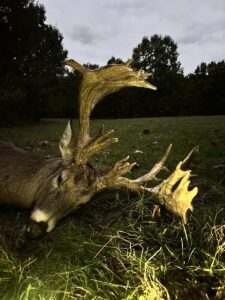 2025-2026 Deer Harvest photo 104