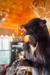 Lodge Photos photo 14