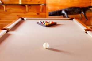Lodge Photos photo 15