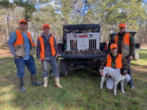 Quail Hunting Photo Gallery photo 5