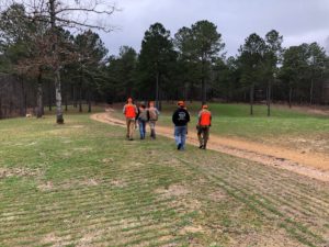 Quail Hunting Photo Gallery photo 3