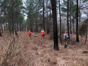 Quail Hunting Photo Gallery photo 1