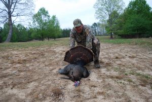 Turkey Hunts photo 18