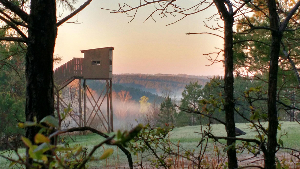 Elevated shooting house overlooking a misty valley at sunrise