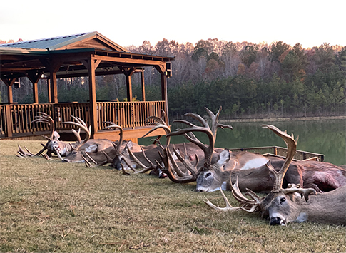 A row of trophy whitetail bucks harvested at Hurricane Creek, beside the lakeside pavilion
